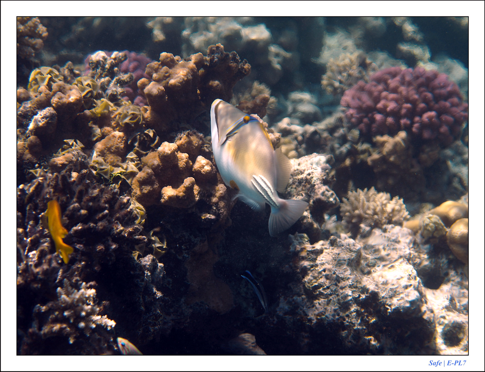 Hurghada - Juillet 2021 - 029